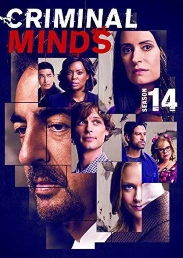 Criminal Minds: Season 14 Matthew Gray Gubler 2019 New DVD Top-quality