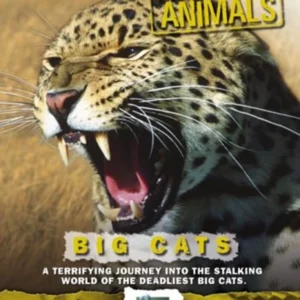 World's Most Dangerous Animals - Big Cats 1 disc(s) 2005 DVD Top-quality