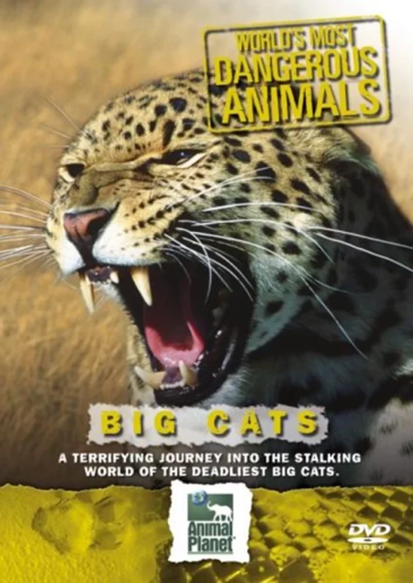 World's Most Dangerous Animals - Big Cats 1 disc(s) 2005 DVD Top-quality