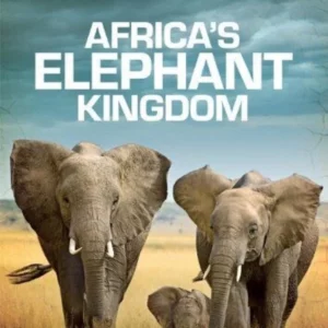 Africa's Elephant Kingdom 1997 DVD Top-quality Free UK shipping