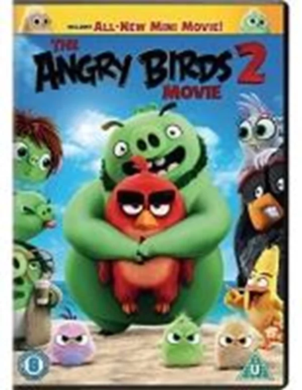 The Angry Birds Movie 2 Jason Sudeikis 2019 DVD Top-quality Free UK shipping