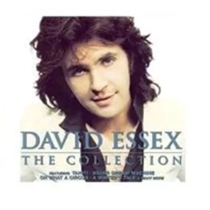 The Collection David Essex 1998 CD Top-quality Free UK shipping