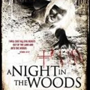 A Night in the Woods Scoot McNairy 2012 DVD Top-quality Free UK shipping