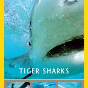 National Geographic: Tiger Sharks 2010 DVD Top-quality Free UK shipping