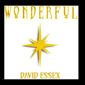 David Essex Wonderful David Essex 2012 CD Top-quality Free UK shipping