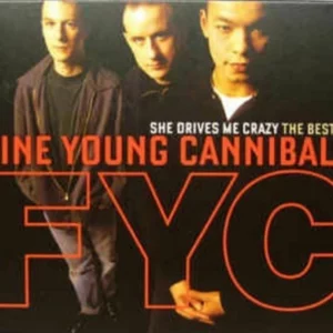 She Drives Me Crazy: The Best Of... Fine Young Cannibals 2009 CD Top-quality