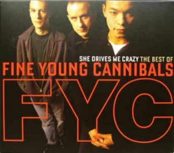 She Drives Me Crazy: The Best Of... Fine Young Cannibals 2009 CD Top-quality