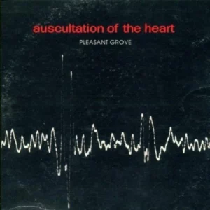 Auscultation Of The Heart Pleasant Grove CD Top-quality Free UK shipping