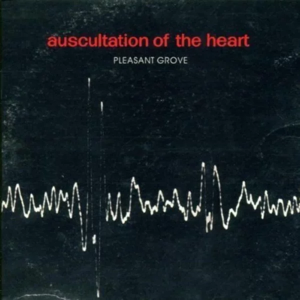 Auscultation Of The Heart Pleasant Grove CD Top-quality Free UK shipping