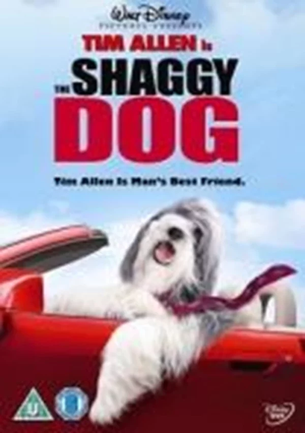 The Shaggy Dog Tim Allen 2006 DVD Top-quality Free UK shipping