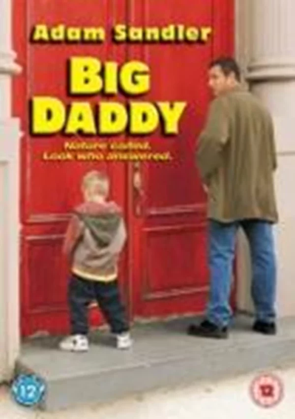 Big Daddy Adam Sandler 2005 DVD Top-quality Free UK shipping