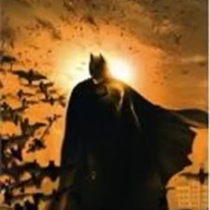 Batman Begins Christian Bale 2005 DVD Top-quality Free UK shipping