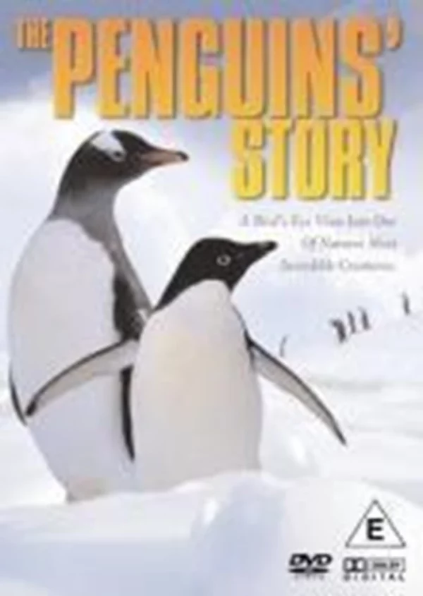 The Penguins' Story 2006 DVD Top-quality Free UK shipping