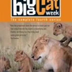 Big Cat Week - Series 4 Simon King 2008 DVD Top-quality Free UK shipping