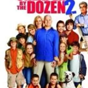 Cheaper By The Dozen 2 Steve Martin 2006 DVD Top-quality Free UK shipping