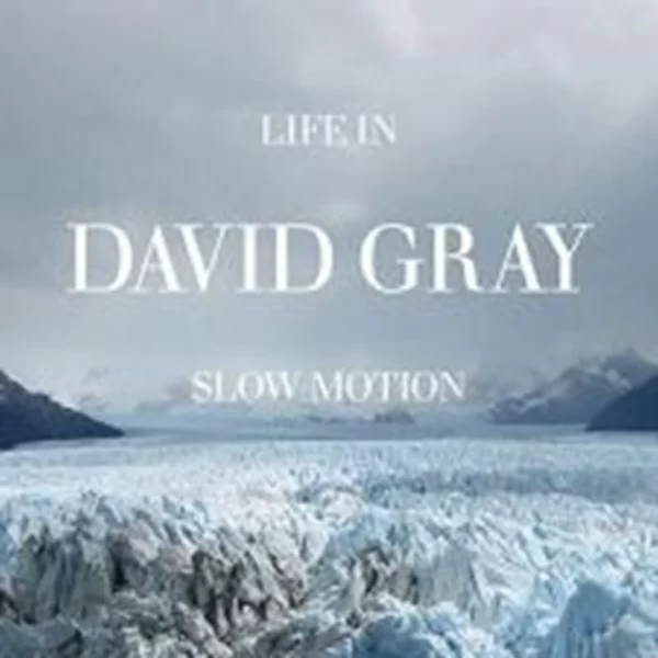 Life in Slow Motion David Gray 2005 CD Top-quality Free UK shipping