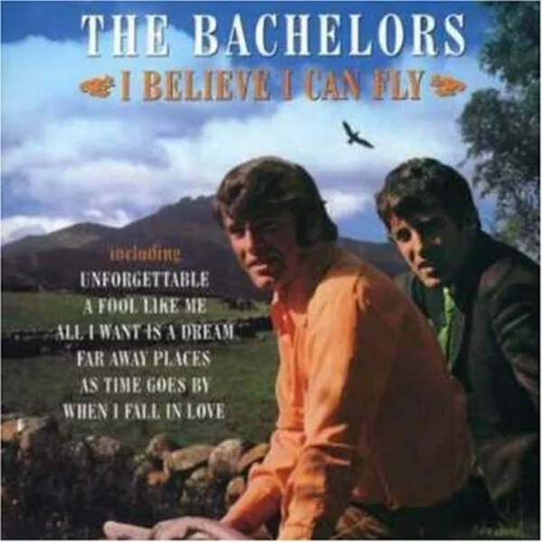 I Believe I Can Fly The Bachelors 2005 CD Top-quality Free UK shipping