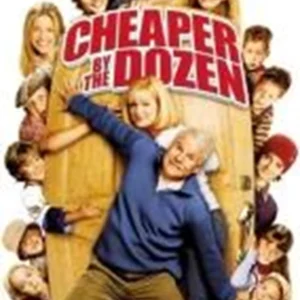 Cheaper By The Dozen Steve Martin 2004 DVD Top-quality Free UK shipping