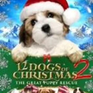 12 Dogs Of Christmas 2: The Great Puppy Rescue Danielle Chuchran 2013 DVD