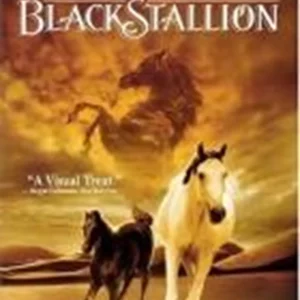 The Young Black Stallion Richard Romanus 2005 DVD Top-quality Free UK shipping