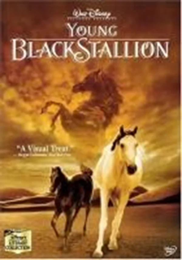 The Young Black Stallion Richard Romanus 2005 DVD Top-quality Free UK shipping