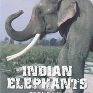 Wildlife Paradise - Indian Elephants 2005 DVD Top-quality Free UK shipping