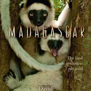 Madagascar David Attenborough 2011 DVD Top-quality Free UK shipping