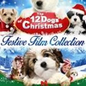 The 12 Dogs Of Christmas: Festive Film Collection John Billingsley 2014 DVD