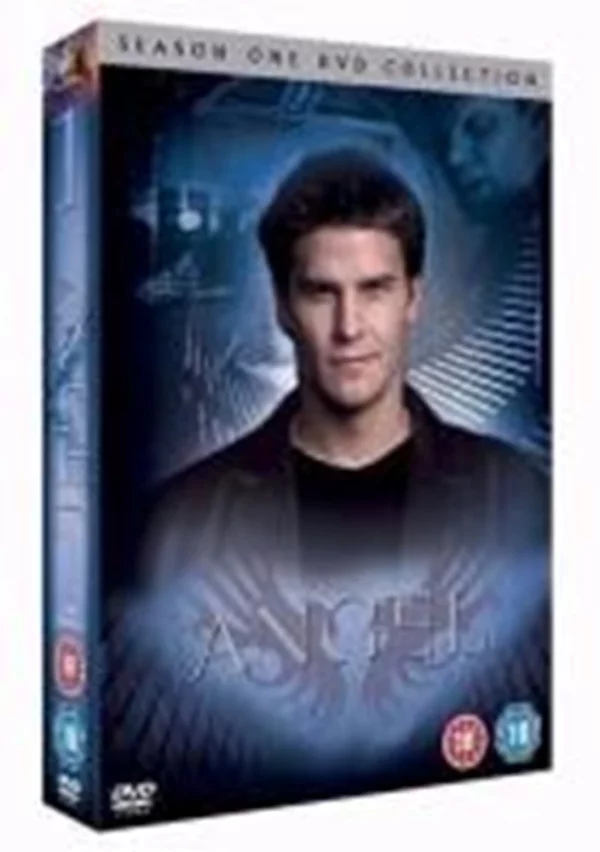 Angel - Season 1 David Boreanaz 2005 DVD Top-quality Free UK shipping