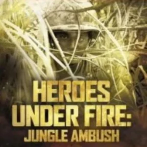 Heroes Under FireJungle Ambush 2012 DVD Top-quality Free UK shipping