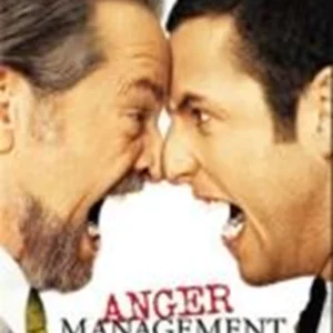 Anger Management Jack Nicholson 2003 DVD Top-quality Free UK shipping