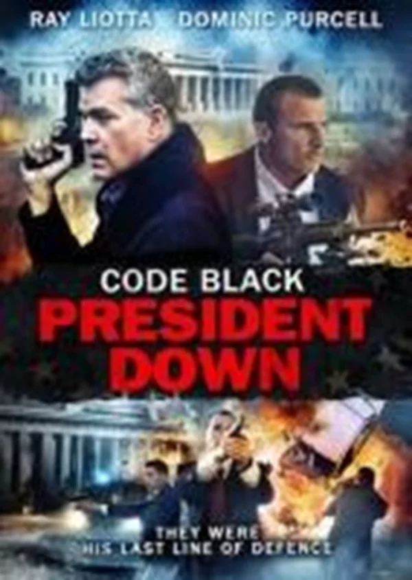 Code Black: President Down Ray Liotta 2013 DVD Top-quality Free UK shipping