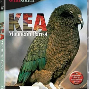 Kea: Mountain Parrot 2012 DVD Top-quality Free UK shipping