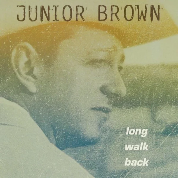 Long Walk Back Junior Brown 1998 CD Top-quality Free UK shipping