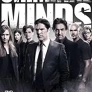 Criminal Minds - Season 9 Shemar Moore 2014 DVD Top-quality Free UK shipping