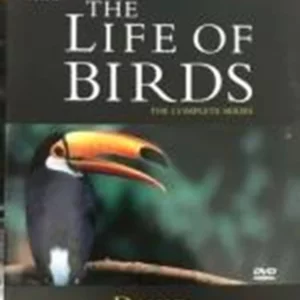 The Life of Birds David Attenborough 2000 New DVD Top-quality Free UK shipping