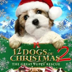 12 Dogs Of Christmas 2: The Great Puppy Rescue Danielle Chuchran 2013 New DVD