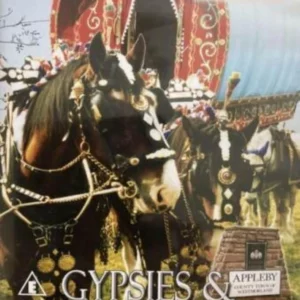 Gypsies & Horse Dealers New DVD Top-quality Free UK shipping