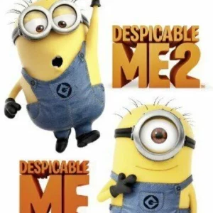 Despicable Me / Despicable Me 2 Steve Carell 2013 DVD Top-quality