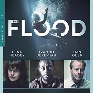 The Flood 2019 New DVD Top-quality Free UK shipping