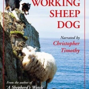 The Year of the Working Sheepdog Christopher Timothy 2004 New DVD Top-quality