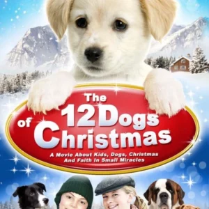 12 Dogs of Christmas John Billingsley 2012 New DVD Top-quality Free UK shipping