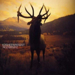 Resist Kosheen 2003 CD Top-quality Free UK shipping