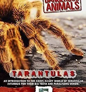 World's Most Dangerous Animals - Tarantulas 2005 DVD Top-quality