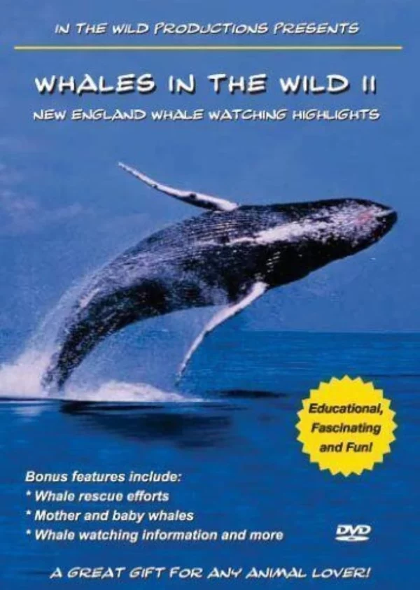 Whales in the Wild II 2006 DVD Top-quality Free UK shipping