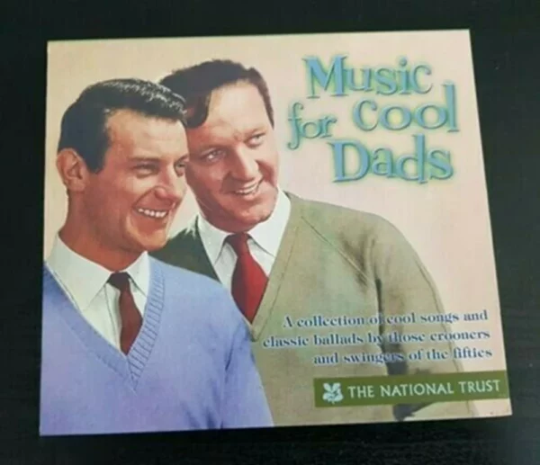 Music For Cool Dads Various CD Top-quality Free UK shipping