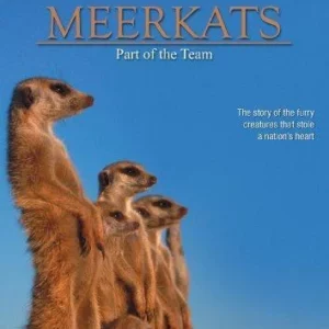 Meerkats Simon King 2009 New DVD Top-quality Free UK shipping