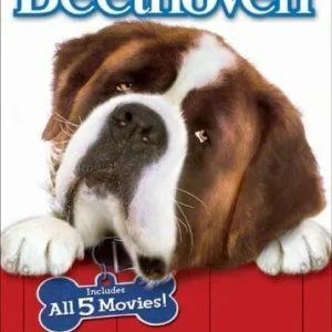 Beethoven Pooch Pack Charles Grodin 2005 DVD Top-quality Free UK shipping