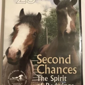 Second Chances - The Spirit of Redwings 2009 DVD Top-quality Free UK shipping