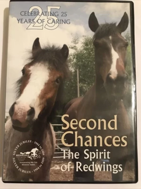 Second Chances - The Spirit of Redwings 2009 DVD Top-quality Free UK shipping